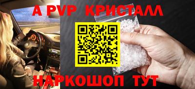 шишки Можга