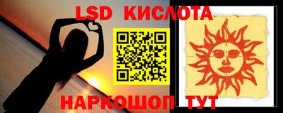 шишки Можга