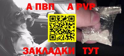прущие грибы Нальчик