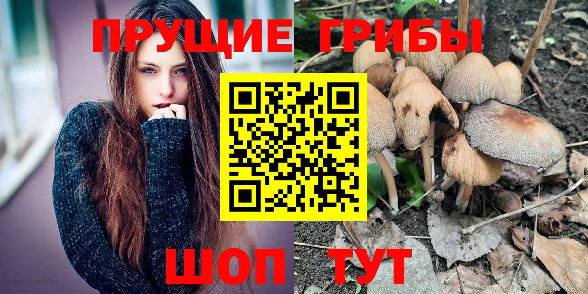 Псилоцибиновые грибы мухоморы  Псилоцибиновые грибы Cubensis  Сосновоборск  Вход с VPN 