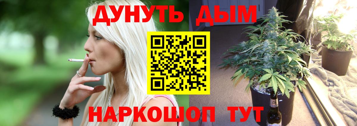Сосновоборск  Бошки марихуана White Widow  Вход с VPN  Каннабис THC 21%  Марихуана Bruce Banner  Канабис Amnesia 
